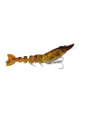 SPANISH LURES MR. KRILL