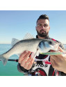 SPANISH LURES MESIAS