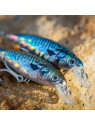 AKAMI REAL MINNOW AKAMI REAL MINNOW