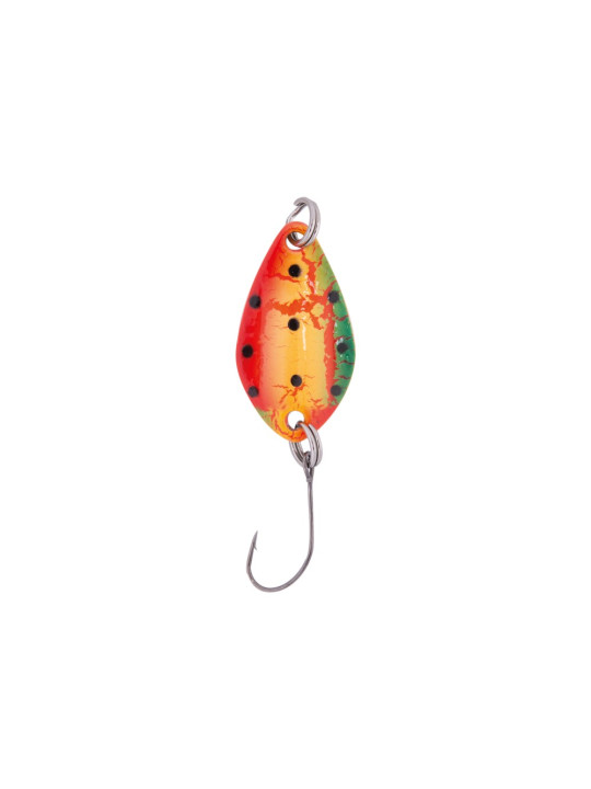 STR TROUT NUMA STR TROUT NUMA