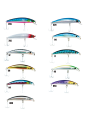 STORM RIDER REAL MINNOW