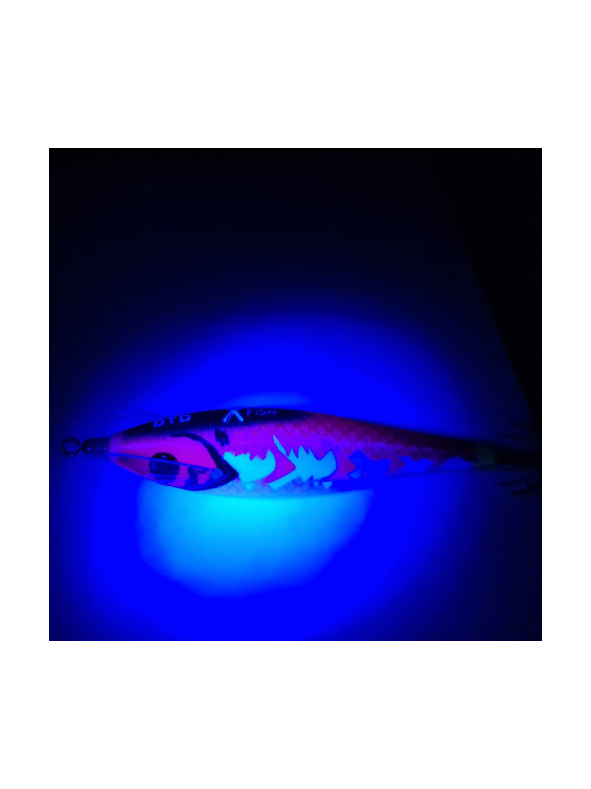 DTD X-FISH