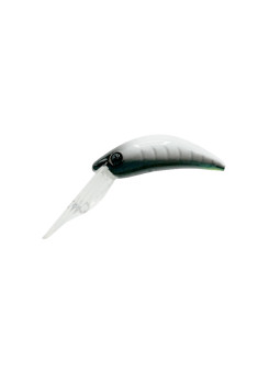 ALECA SP - ARHKALE54