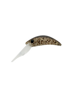 ALECA SP - ARHKALE59