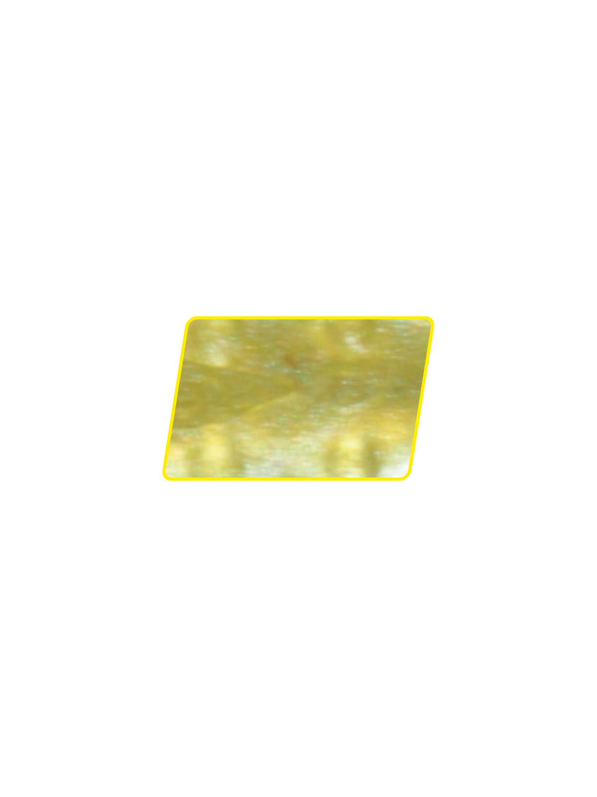 ROTOR WORM - ARHKLS04