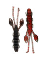 CAVE CRAW - ARHKCAV36